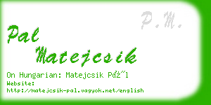 pal matejcsik business card